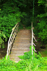 Fototapeta premium Small wooden bridge