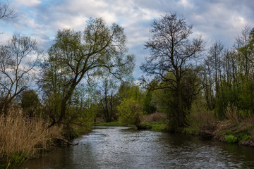 Fototapeta na wymiar Landscape with Jeziorka river in Zalesie Dolne, Poland