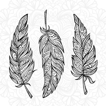 Vector hand drown zendoodle feathers set.