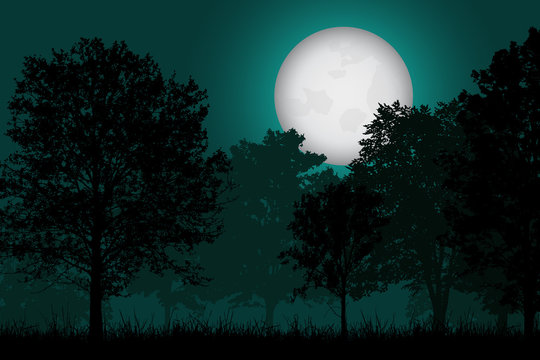 Vector realistic illustration of a deciduous forest with grass under a night sky