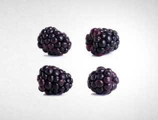 blackberry isolated on background
