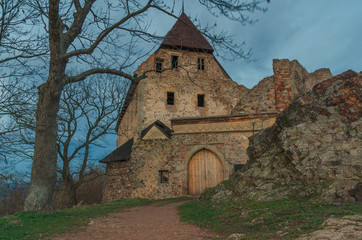 Fototapeta na wymiar Zebrak castle in spring, Czech Republic