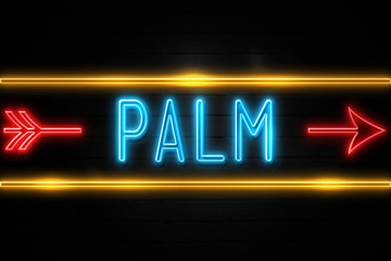 Palm  - fluorescent Neon Sign on brickwall Front view