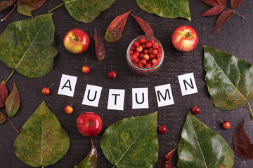 Autumn composition with leaves, apples and sign