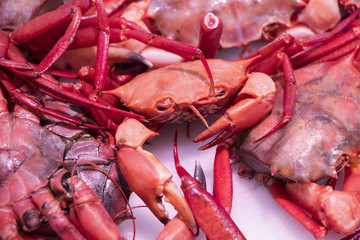 Crabs ready to be cooked in Isla Cristina market, seafood, (cargrejos de Huelva)