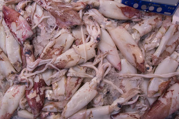 Fresh spider crab ready to be cooked in Isla Cristina market, seafood, (centolla de Huelva)