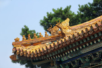 Fototapeta na wymiar Protecting figures on the traditional house roof, Beijing, China
