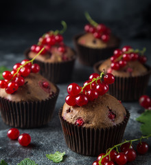 chocolate and red currant muffins