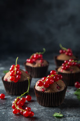 chocolate and red currant muffins