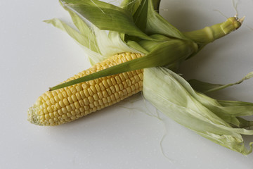 Vegan food. Ripe Corn Cob, isolated on White Background