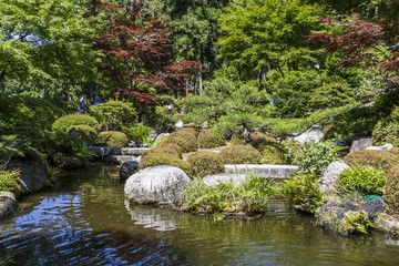 京都　三室戸寺　庭園