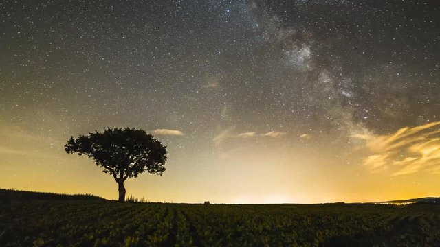 Timelapse d'un arbre solitaire et de la Voie lact&eacute;e.