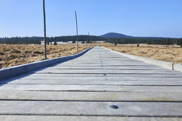  Bozi Dar peat bog trail at the turn of winter and spring, Ore mountains (Czech Republic)