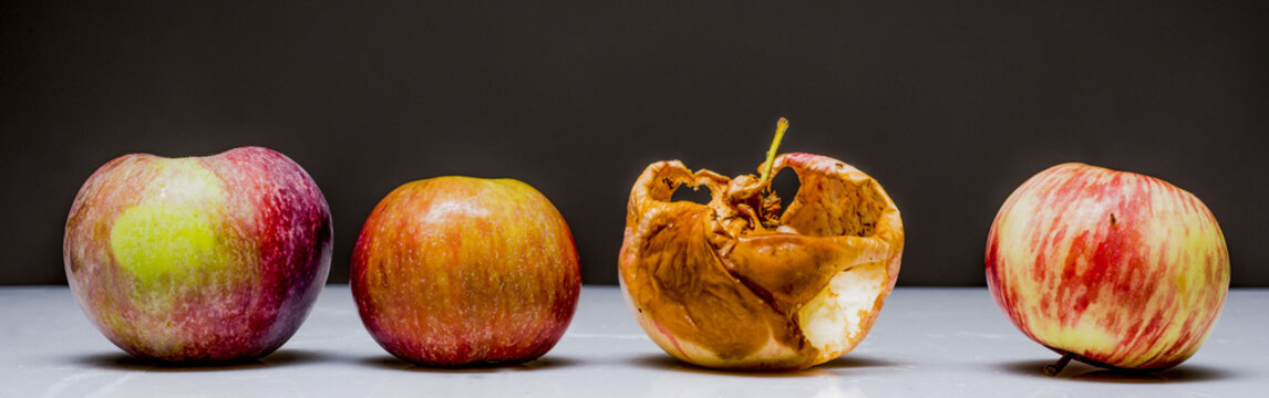 Apples in various states of decay