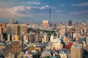 Tokyo. Cityscape image of Tokyo skyline during sunset in Japan.
