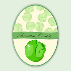 Cabbage from the garden.