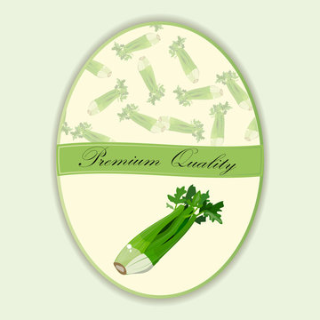 Celery stick hand drawn vector illustration