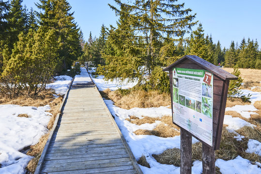  Bozi Dar peat bog trail at the turn of winter and spring, Ore mountains (Czech Republic)