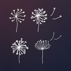 Black dandelion silhouette with wind blowing flying seeds isolated.