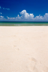 Fototapeta premium tropical sea
