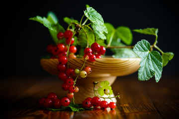 Fresh red currant