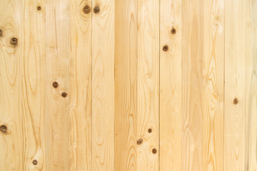 Fototapeta premium Wooden wall texture, wood background