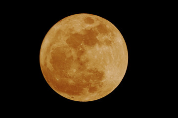 Full Moon Growing in the dark.