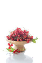 Ripe red currant in a wooden vase