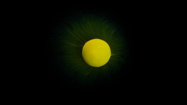 Amazing macro of yellow pill dissolving in water looking like a planet abstract background