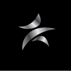 Obraz premium silver star