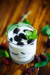 Sweet Greek yogurt with mulberry berries