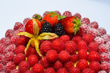 cakes and breads on a white background
