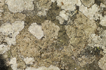 old stone background or texture