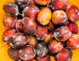 Fresh plums as a background