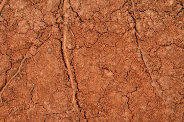 peat soil texture background