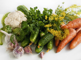 Vegetables of the summer harvest on the table