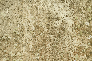old wall background or texture