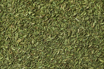  Green egyptian anise fruit