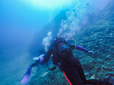 Scuba Divers Exploring The Underwater Landscape