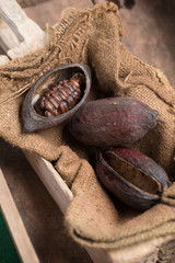 Cacao fruit, raw cacao beans, Cocoa pod on wooden background