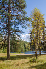 Colorful autumn landscape in the forest lake, Estonia