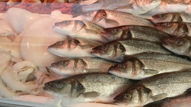 Pesci di mare spigole