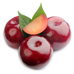 Beautiful Polished Plums Isolated on White Background