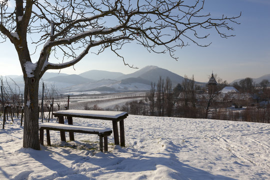 Winter in den Weinbergen bei Siebeldingen in der Südpfalz
