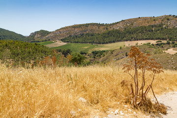 SEGESTA