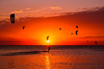 Kite-surfing against a beautiful sunset. Many silhouettes of kites in the sky. Holidays on nature. Artistic picture. Beauty world.