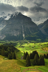 Grindelwald Alps - obrazy, fototapety, plakaty