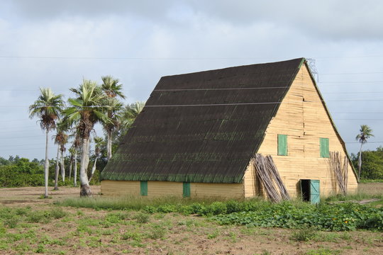 Schuppen zum trocknen von Tabakbl&auml;ttern