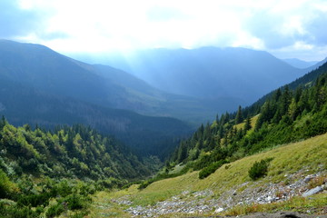 dolina w tatrach