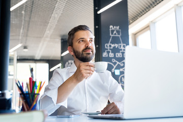 Businessman at the desk with laptop in his office.